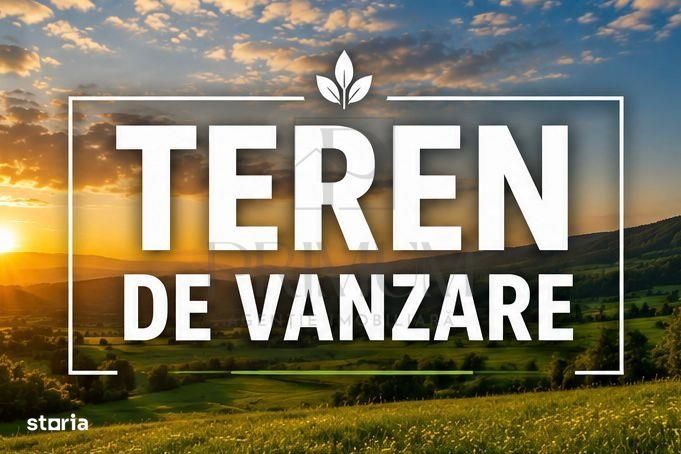 Teren- Mosnita Veche- front  stradal de 30 ml + Toate utilitatile si s
