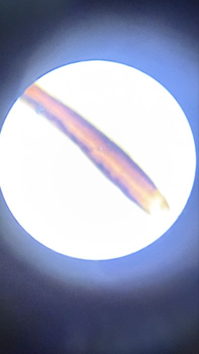 Microscop electric