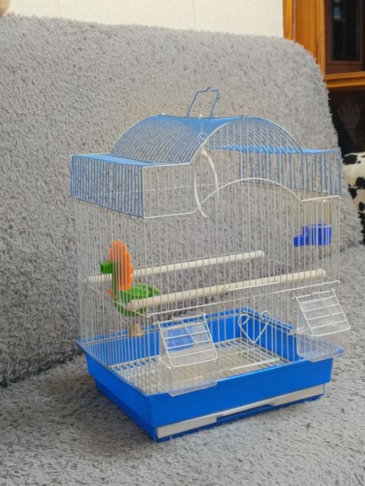 клетка для попугая