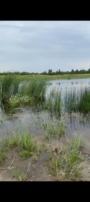 Продам пионерский лагерь