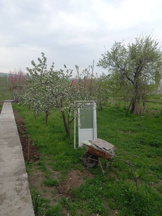 Участка сотилади 8 сотик