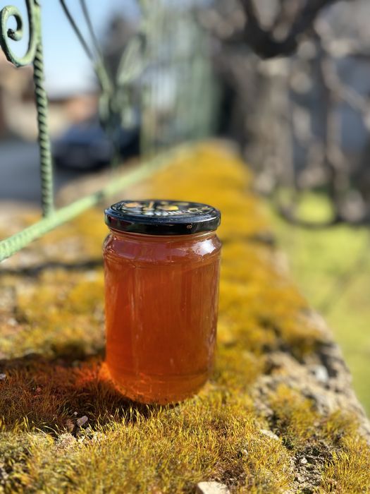 Натурален домашен пчелен и манов мед – директно от пчелар