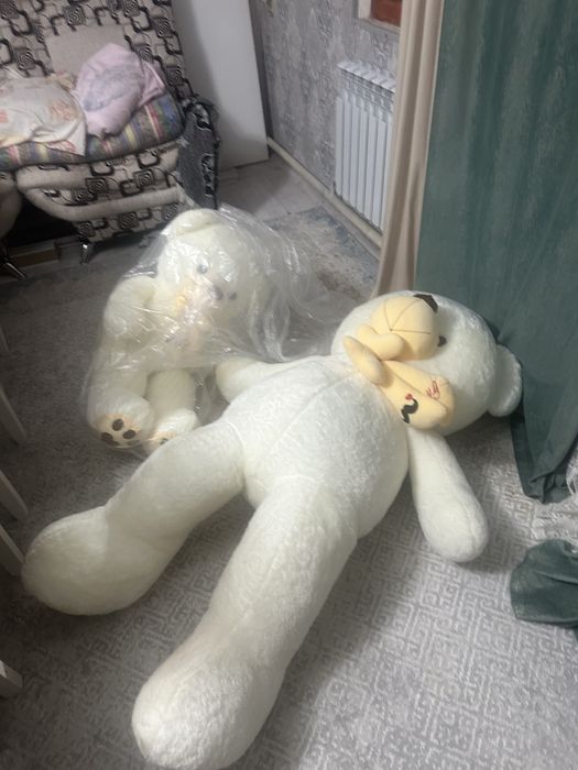 Қонжық бу сапасы жақсы