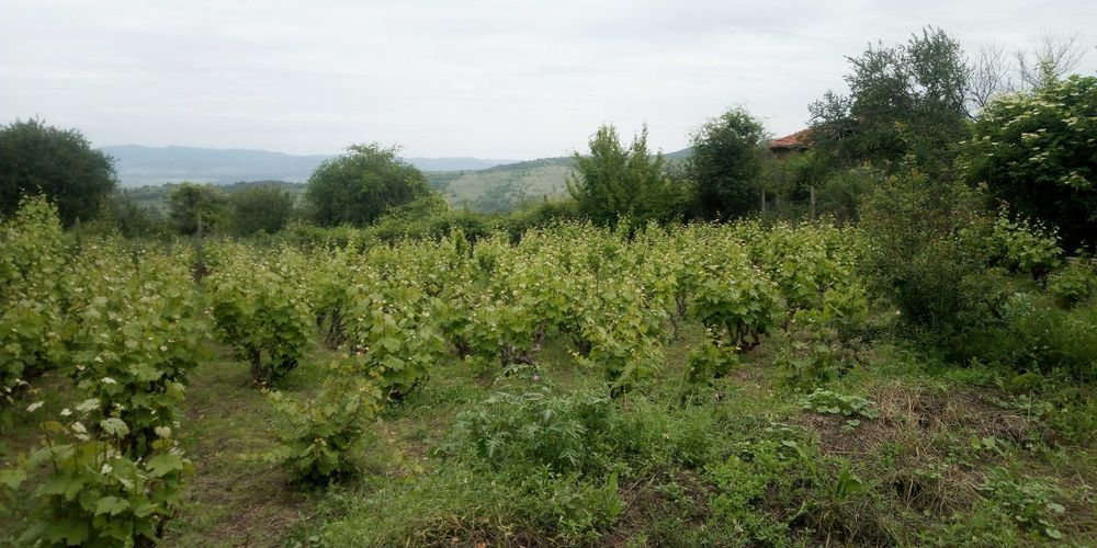 Продава се Парцел в с. Горно вършило, Област Пазарджик - 866 кв.м за 21 €/кв.м - Снимка #4