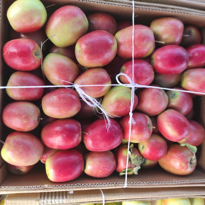 Яблоки с доставкой любой город 24/7