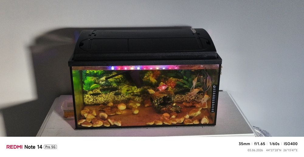 Vând acvariu de 60 L