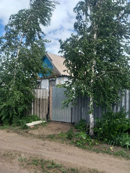 продам дачу с насождениями  все есть