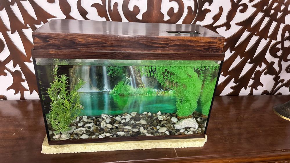 Аквариум для рыбок .