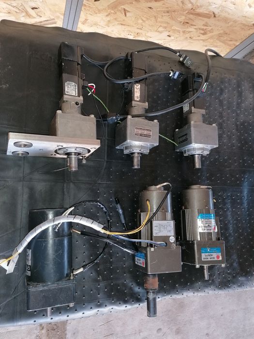 Motor          reductor         trifazic