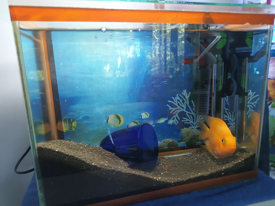 Продам аквариумы