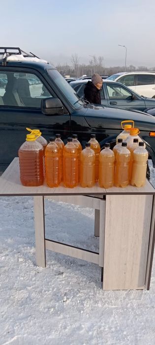 Продам Катон-Карагайский мёд