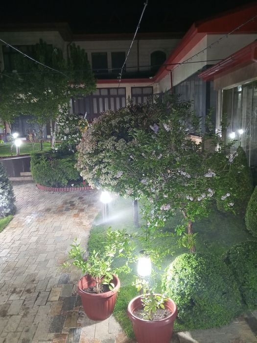 Gazon urugʼi va tayyor roloni bor ustanovka ham qilamiz
