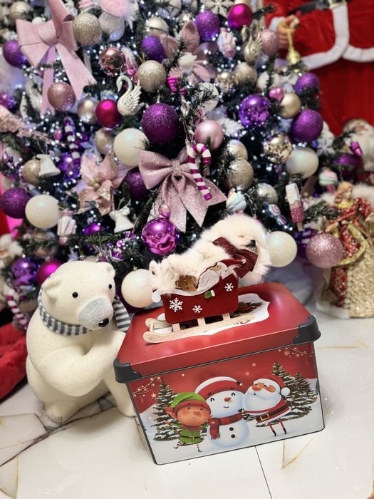 Pomeranian Bear Type