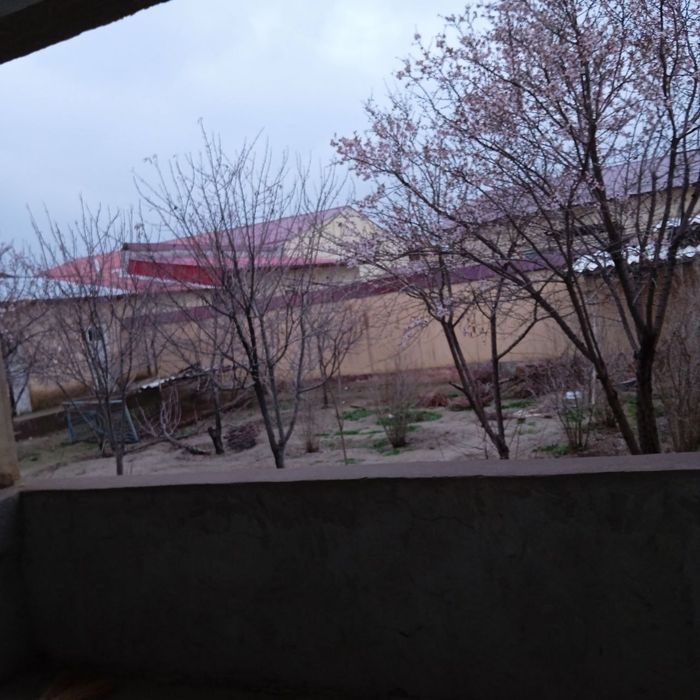 Kate tezda sotiladi 2014 katej