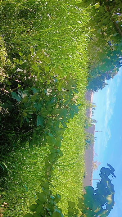 Uy sotiladi 20 sotgdan ziyod