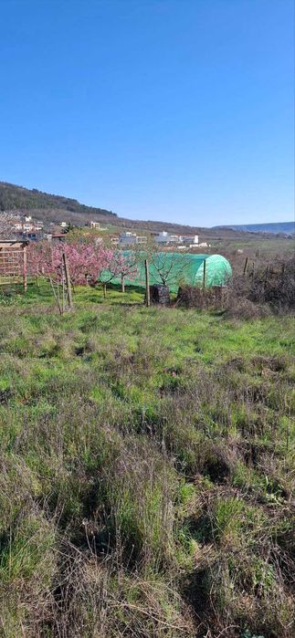 Продава се Парцел в с. Рогачево, Област Добрич - 930 кв.м за 31 €/кв.м - Снимка #5