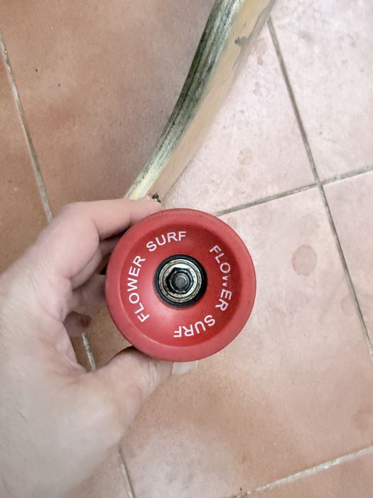 Longboard/ Skateboard Oxello