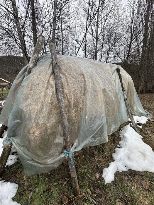 Fan Fân Baloti rotunzi /patrati