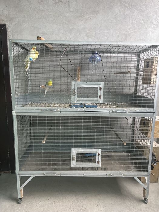 Qushlar uchun qafas sotiladi