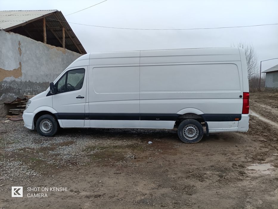 Alo holata bolgan mers