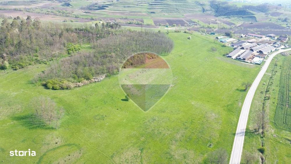 Teren de vanzare sau inchiriat 19ha intravilan, Agnita,Sibiu