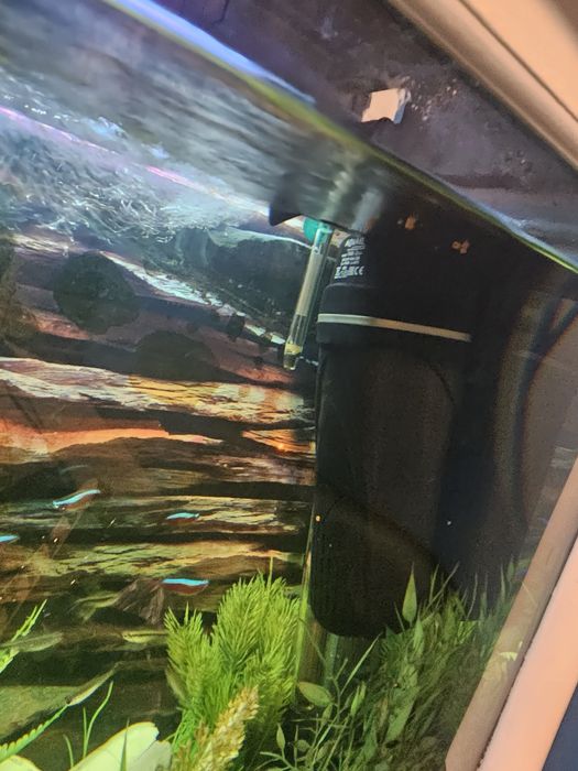 Аквариум с рибки действащ оборудван