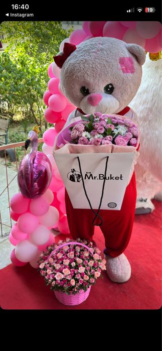 Oformleniya va ayiqlar hizmati |айиқ ва оформления