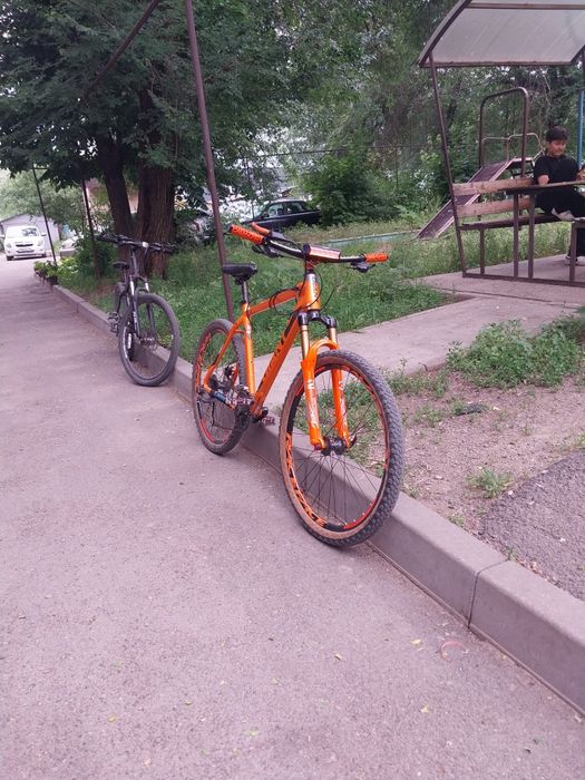 Giant rincon disc 2024
