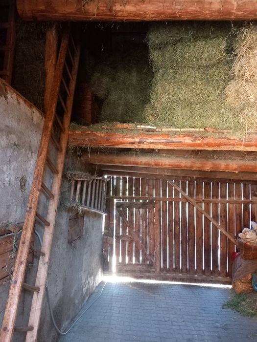 Baloți de fân, lucernă, otavă și paie