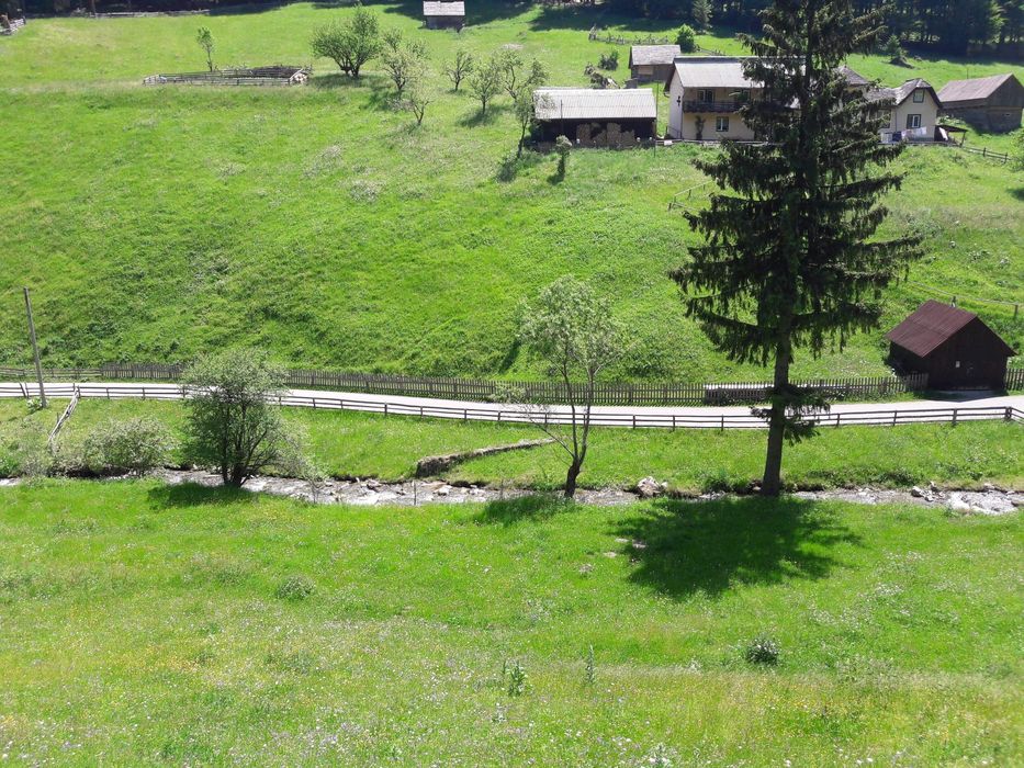 Casa bătrânească și teren pretabil casa vacanta