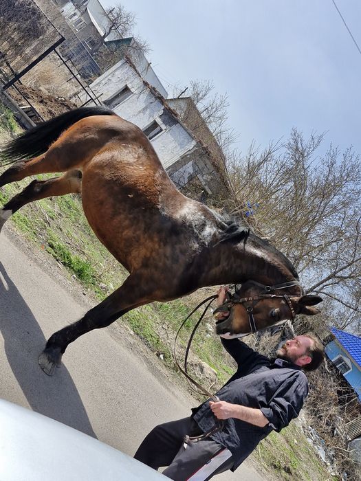 Находимся в Темиртау
