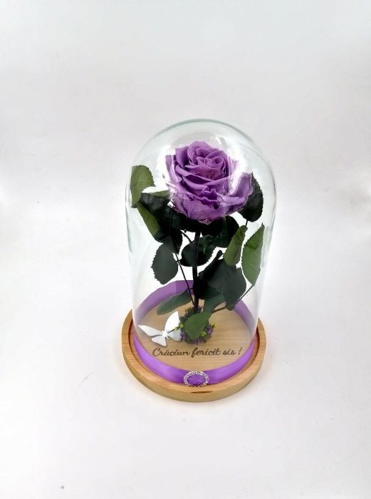 Trandafir Criogenat BiaRose mare 9cm in cupola mare de sticla 28-30cm