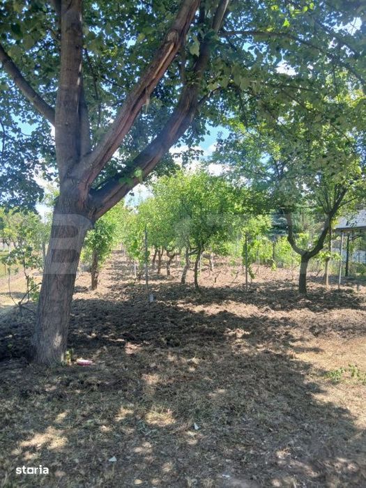 Casa de vanzare 800 mp curte, 32 mp utili, Bratovoesti