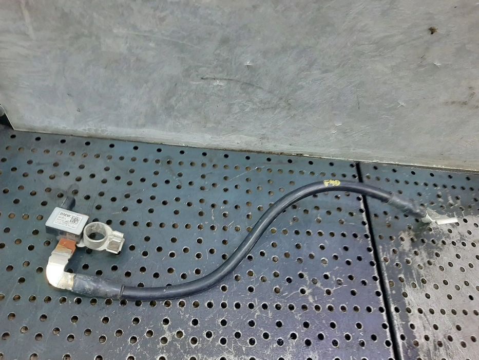 borna minus  cu capra pirotehnica  bmw seria 1 f40  5a070b3-01