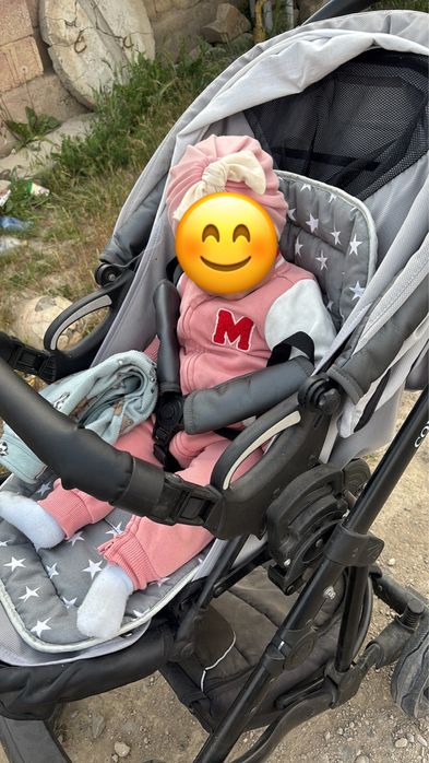 Коляска Pituso Confort Plus 2 в 1