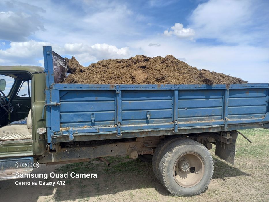 Конский навоз есть перегной