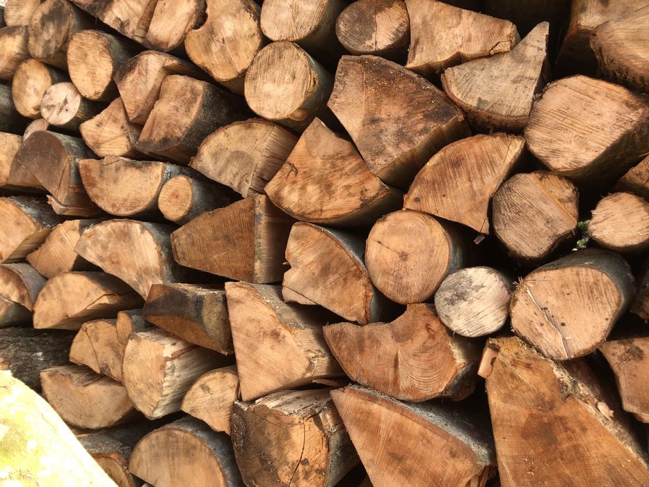 Lemne de foc fag,(calitatea este garantata 100%)