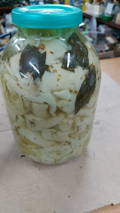 Продам грибы Грузди и волуи 2025год