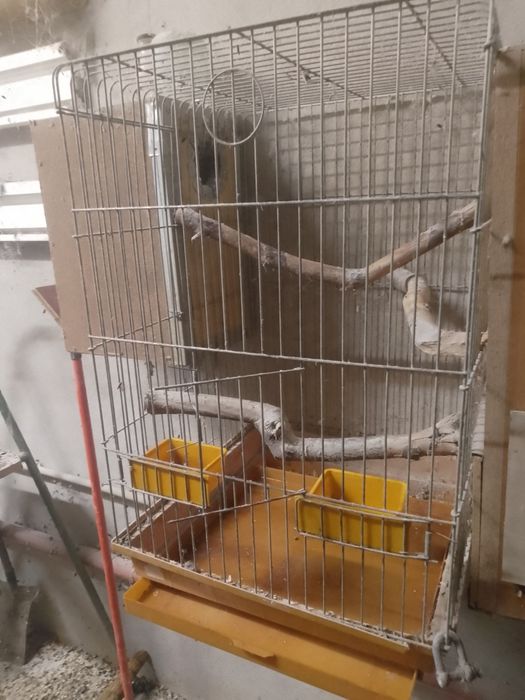 Клетки за средни папагали