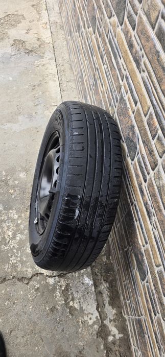 Ханкук жаздық балоны