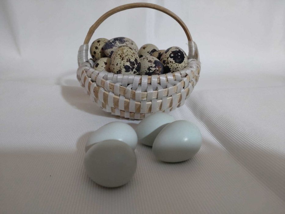 Ouă de prepeliță pentru consum sau incubat.