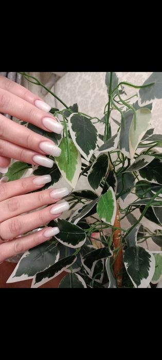 Наращивание ресниц и ногтей