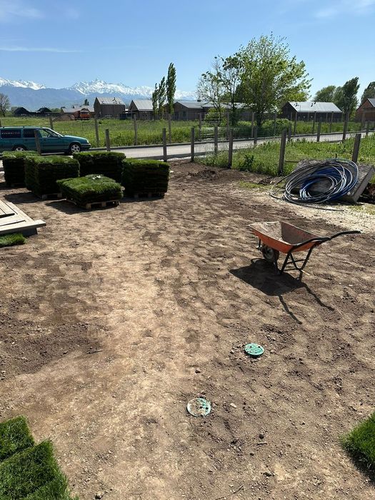 Гозон,посев,укладка готовым,