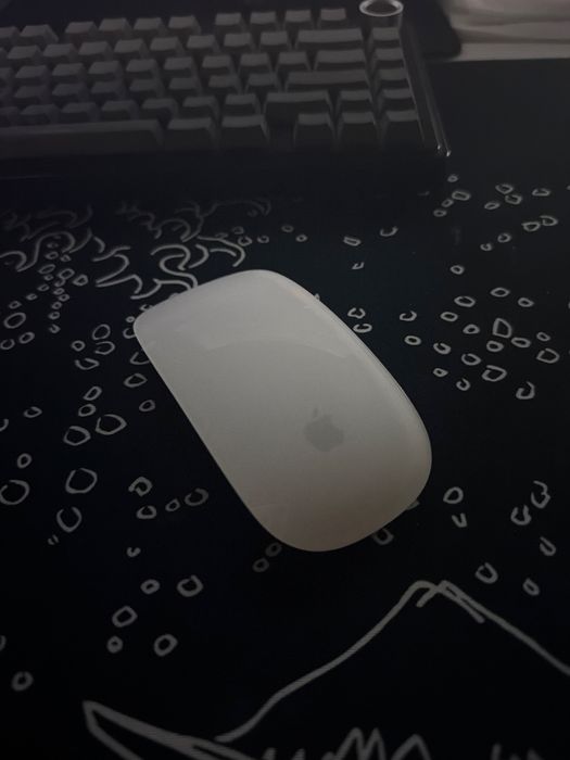 apple magic mouse