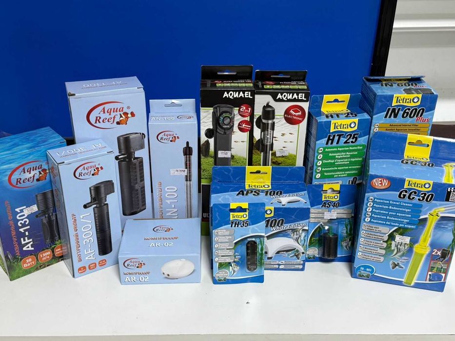 Аквариумистика в ЗООМИРЕ