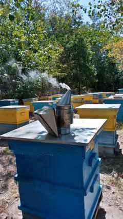 Продавам пчелен мед
