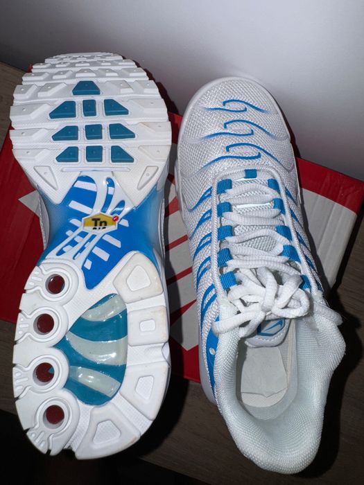 Nike Air Max Plus 40