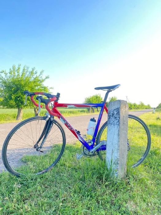 Shosenik velosiped sotiladi nomi ridley holati ideal qogan malumot tel