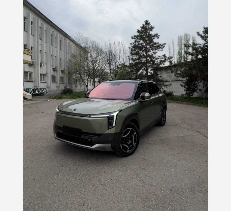 Donfeng Nammi 06
