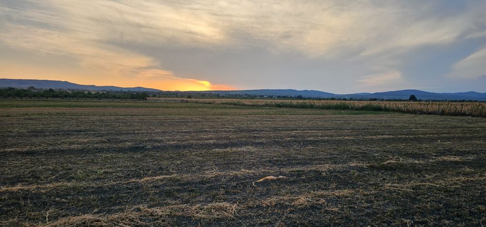 Vând 12457 mp teren intravilan și extravilan în  Costești, Vrancea